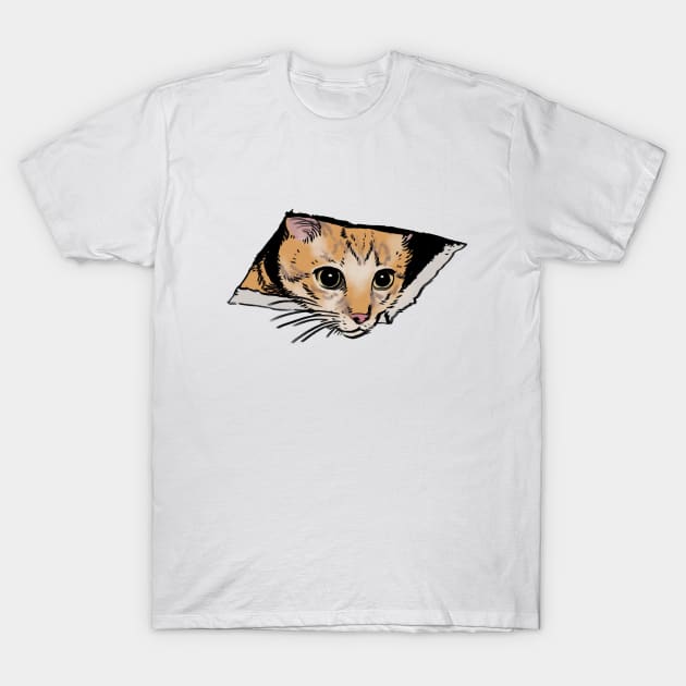 Mudwizard draws the ceiling cat meme / funny animal meme T-Shirt by mudwizard